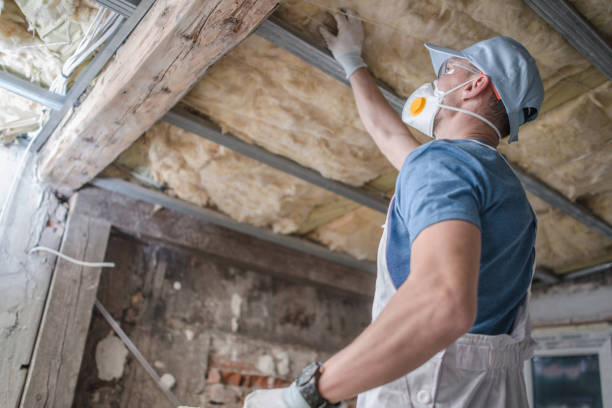 Best Garage Insulation Installation  in Fruitdale, CA