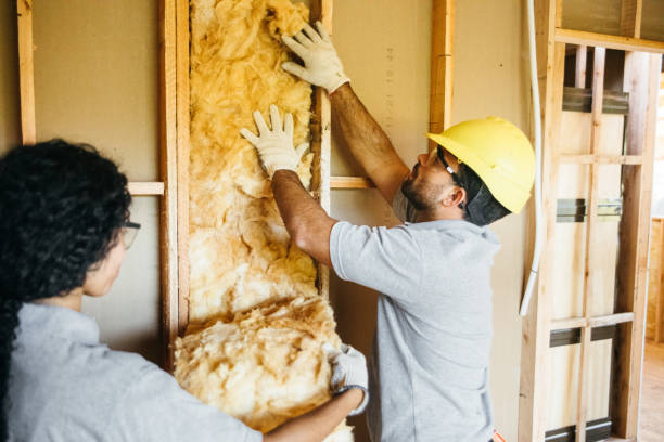 Best Attic Insulation Installation  in Fruitdale, CA