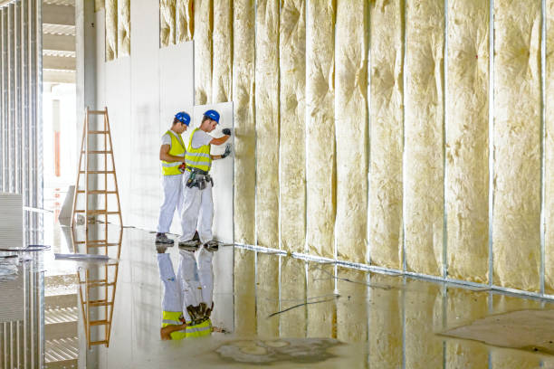 Best Spray Foam Insulation  in Fruitdale, CA